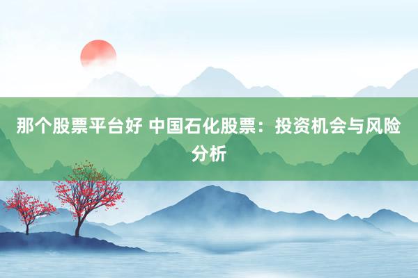 那個(gè)股票平臺(tái)好 中國(guó)石化股票：投資機(jī)會(huì)與風(fēng)險(xiǎn)分析