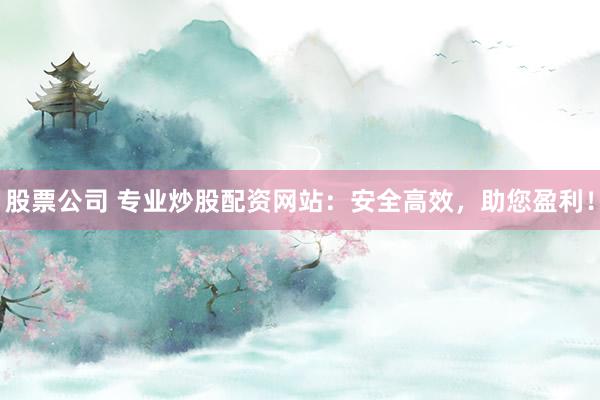 股票公司 專業(yè)炒股配資網(wǎng)站：安全高效，助您盈利！
