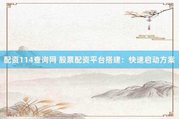 配資114查詢網(wǎng) 股票配資平臺搭建：快速啟動方案