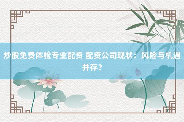 炒股免費(fèi)體驗(yàn)專(zhuān)業(yè)配資 配資公司現(xiàn)狀：風(fēng)險(xiǎn)與機(jī)遇并存？